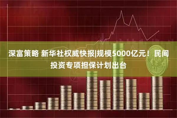 深富策略 新华社权威快报|规模5000亿元！民间投资专项担保计划出台